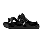 Ski-Skates